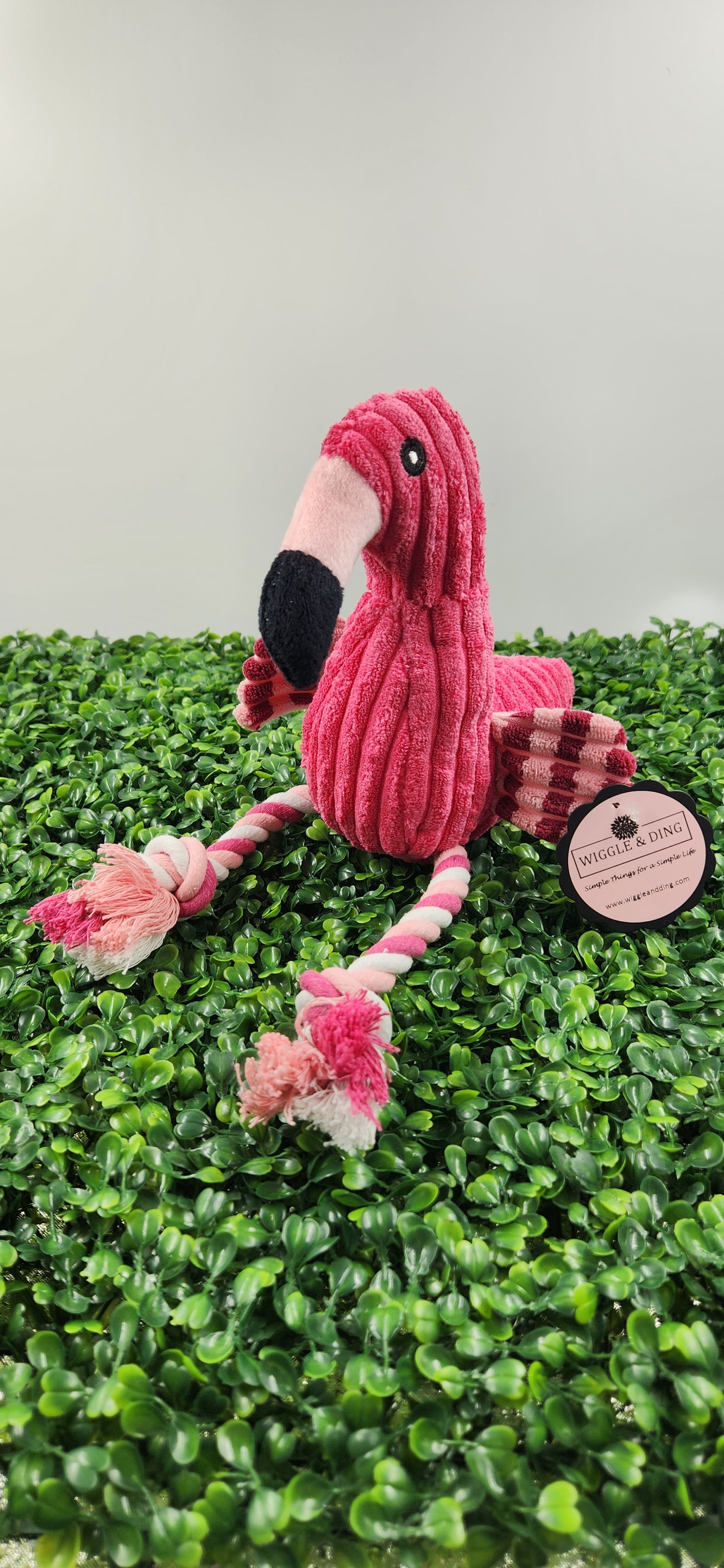 Flamingo - Wiggle & Ding