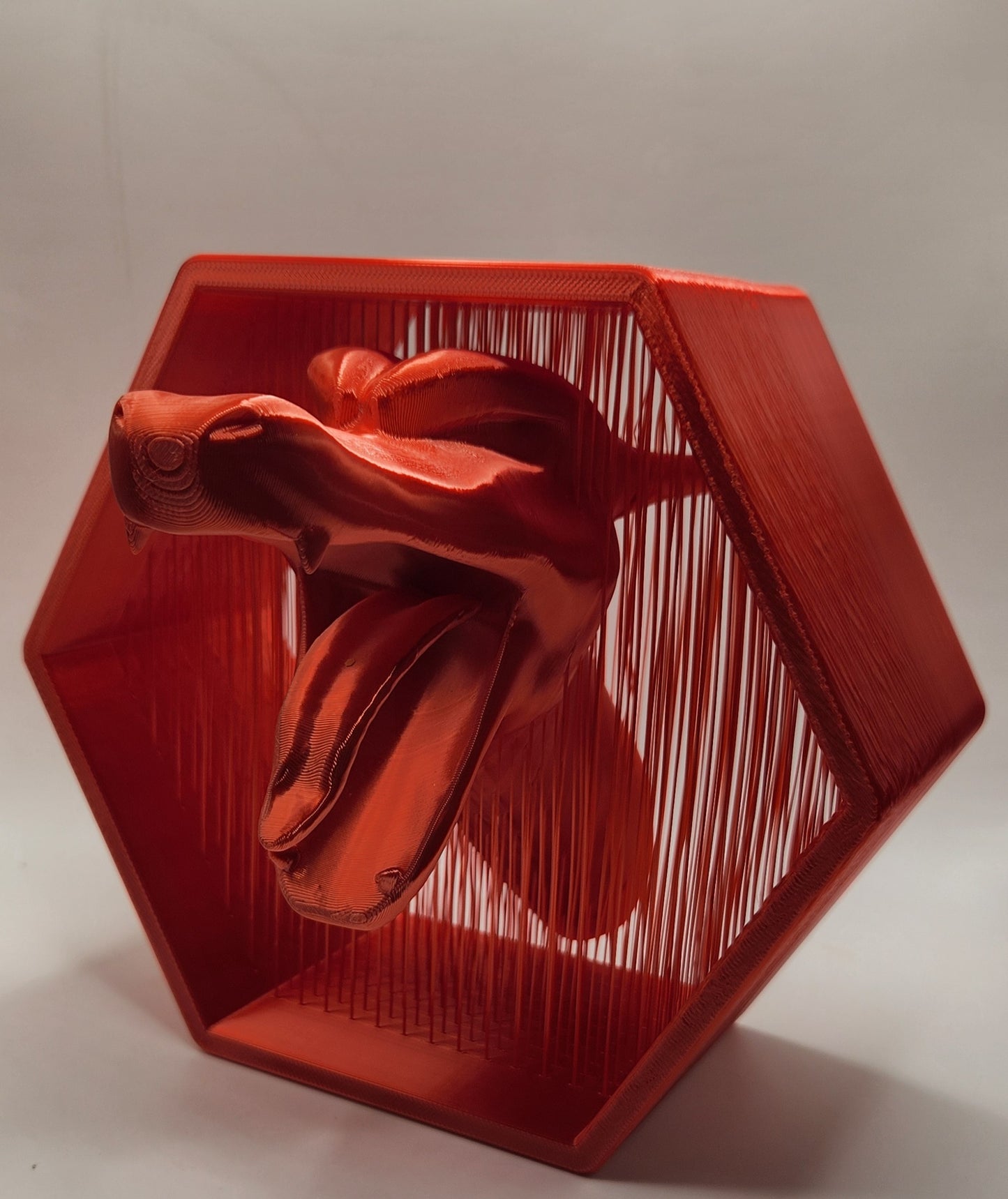 3D Suspended Charizard