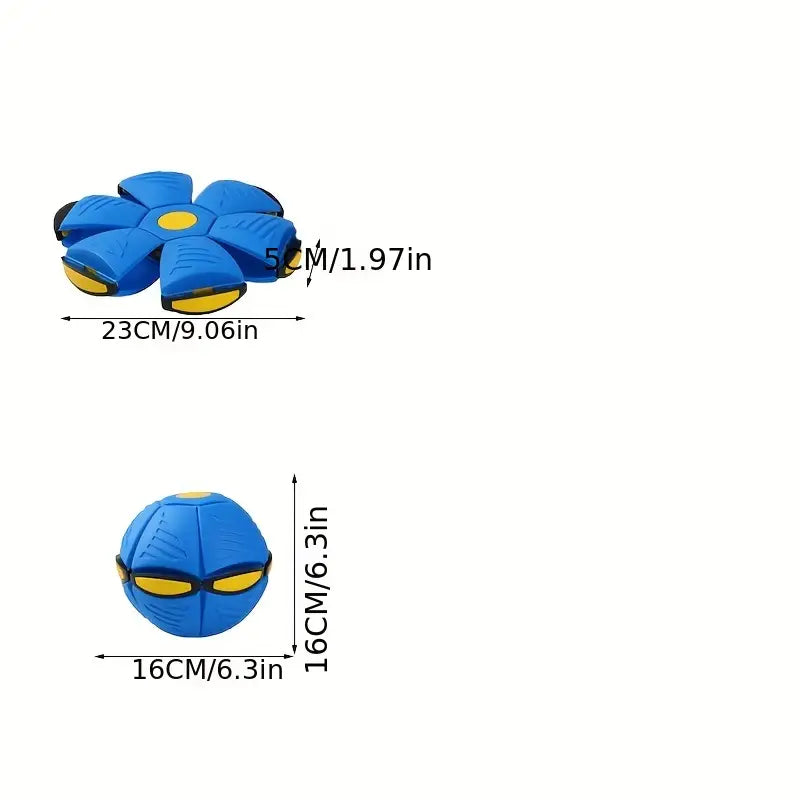 Pop Up Toy Fun for the whole family - Wiggle & Ding
