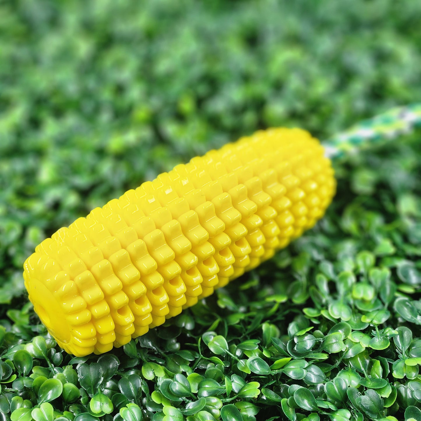 Foodie Dog Toys - Wiggle & Ding