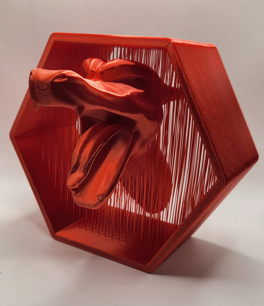 3D Suspended Charizard