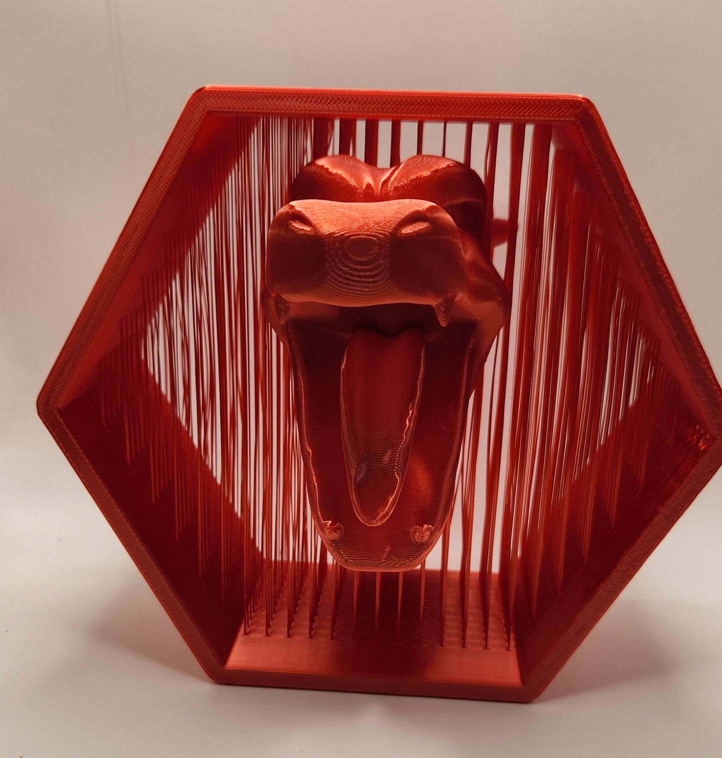 3D Suspended Charizard