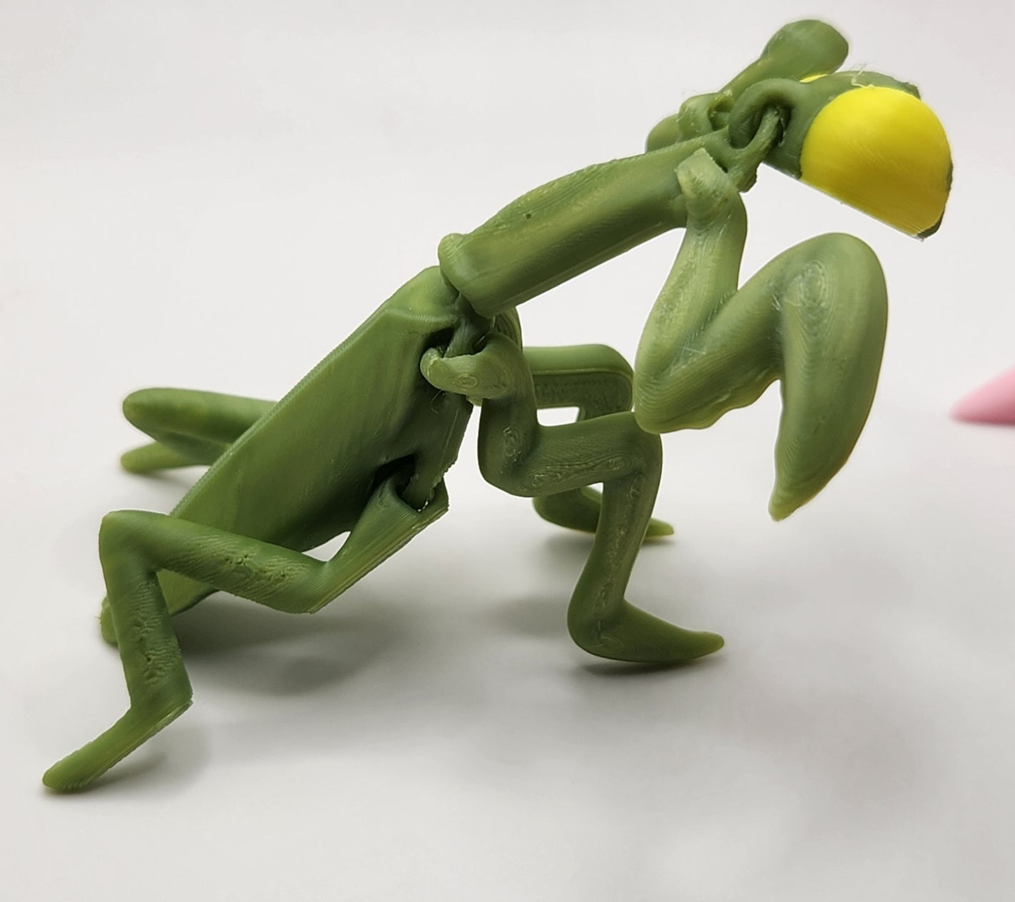 3D Critter Collection